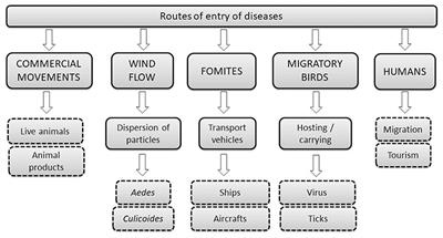 Risk of Introduction of Infectious Animal Diseases for Europe Based on the Health Situation of North Africa and the Arabian Peninsula